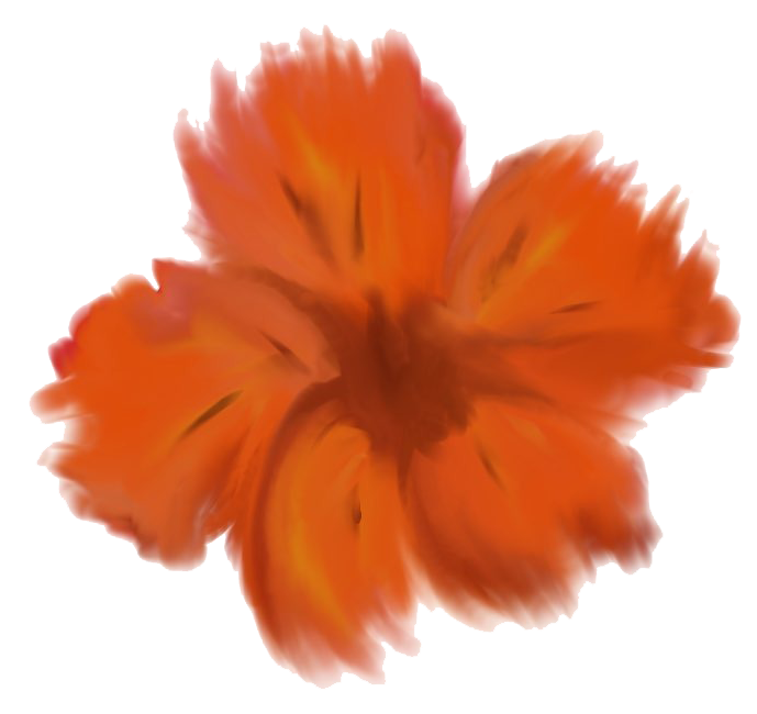 Poppy Drawing Honoring 'D'